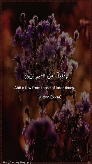 Al-Waaqia Ayah 14 - Arabic + English wallpaper