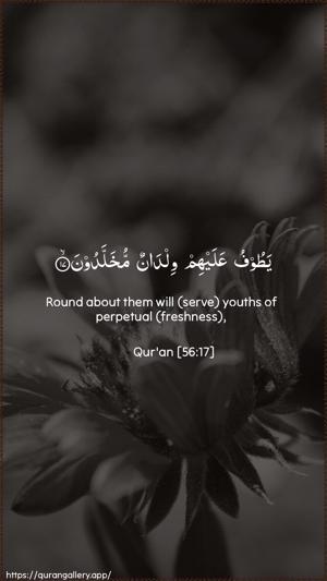 Al-Waaqia Ayah 17 - Arabic + English wallpaper
