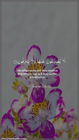 Al-Waaqia Ayah 19 - Arabic + English wallpaper