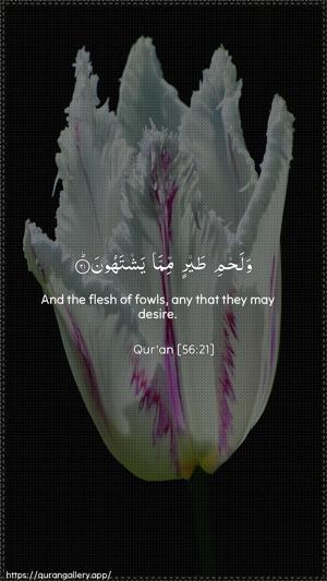 Al-Waaqia Ayah 21 - Arabic + English wallpaper