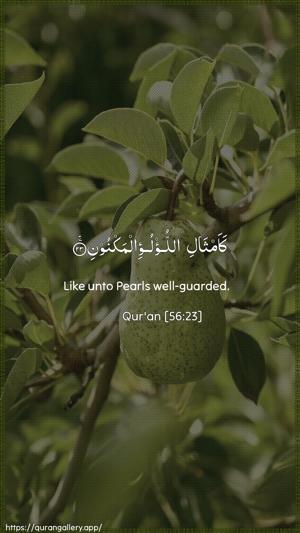 Al-Waaqia Ayah 23 - Arabic + English wallpaper