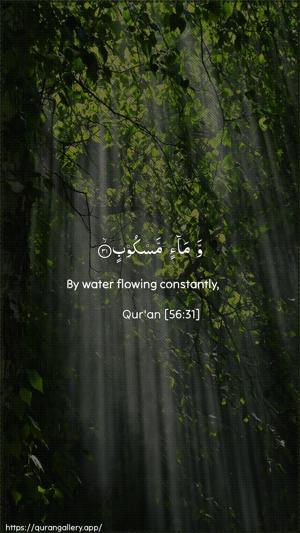 Al-Waaqia Ayah 31 - Arabic + English wallpaper