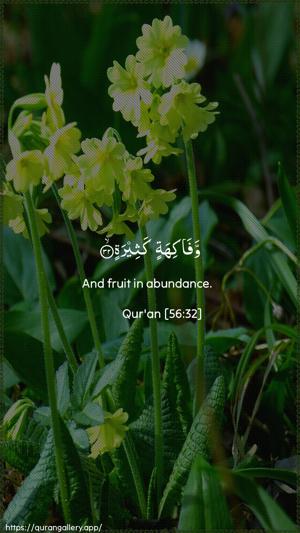 Al-Waaqia Ayah 32 - Arabic + English wallpaper