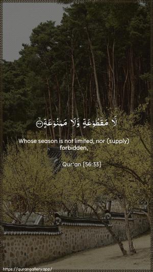 Al-Waaqia Ayah 33 - Arabic + English wallpaper