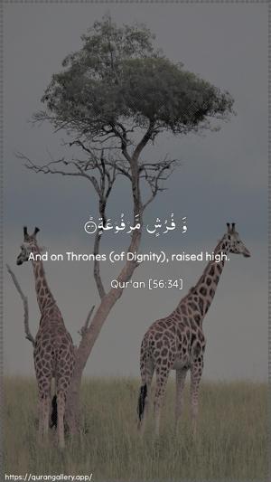 Al-Waaqia Ayah 34 - Arabic + English wallpaper