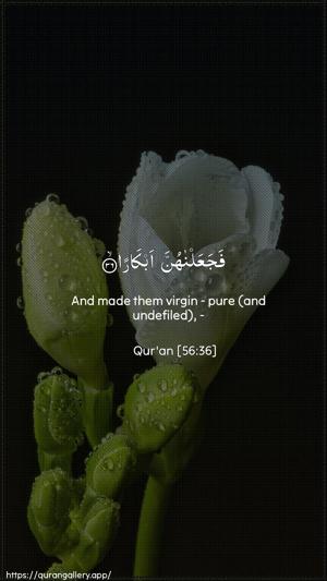Al-Waaqia Ayah 36 - Arabic + English wallpaper
