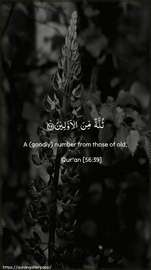 Al-Waaqia Ayah 39 - Arabic + English wallpaper