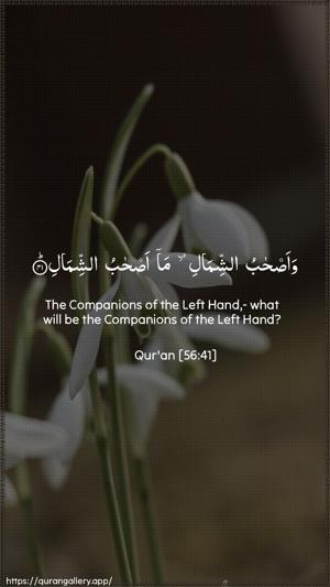 Al-Waaqia Ayah 41 - Arabic + English wallpaper