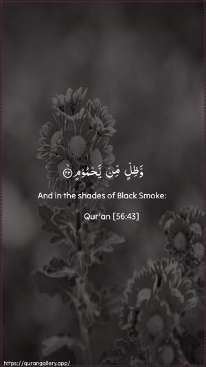 Al-Waaqia Ayah 43 - Arabic + English wallpaper