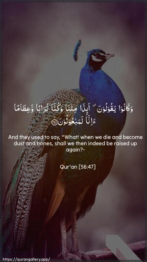 Al-Waaqia Ayah 47 - Arabic + English wallpaper