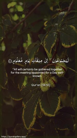 Al-Waaqia Ayah 50 - Arabic + English wallpaper