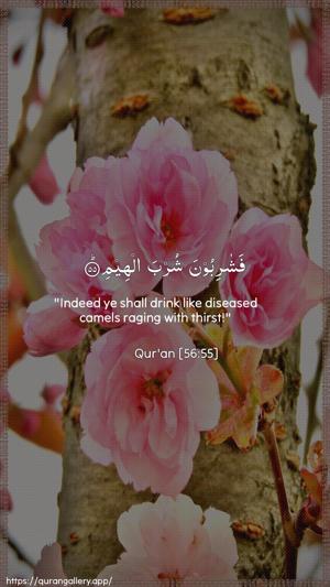 Al-Waaqia Ayah 55 - Arabic + English wallpaper