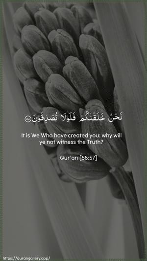 Al-Waaqia Ayah 57 - Arabic + English wallpaper