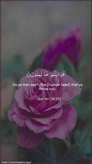 Al-Waaqia Ayah 58 - Arabic + English wallpaper