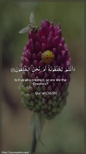 Al-Waaqia Ayah 59 - Arabic + English wallpaper