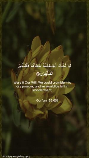 Al-Waaqia Ayah 65 - Arabic + English wallpaper
