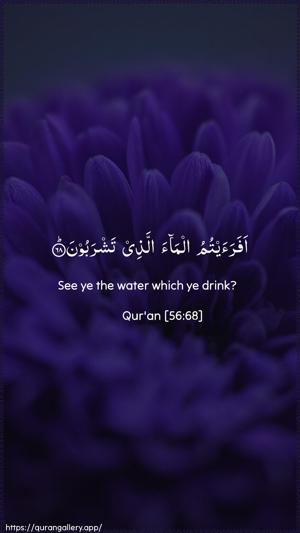 Al-Waaqia Ayah 68 - Arabic + English wallpaper