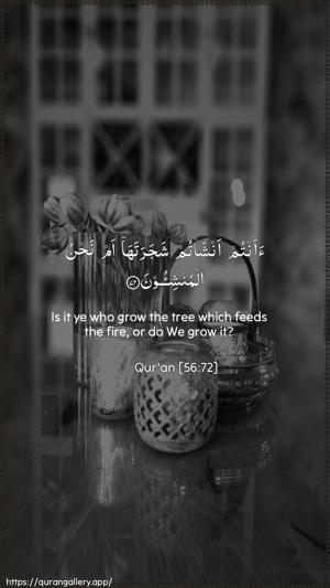 Al-Waaqia Ayah 72 - Arabic + English wallpaper