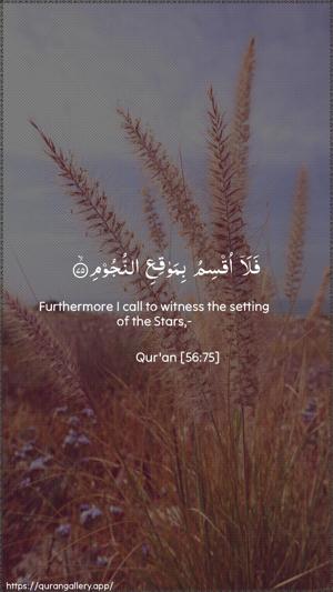 Al-Waaqia Ayah 75 - Arabic + English wallpaper