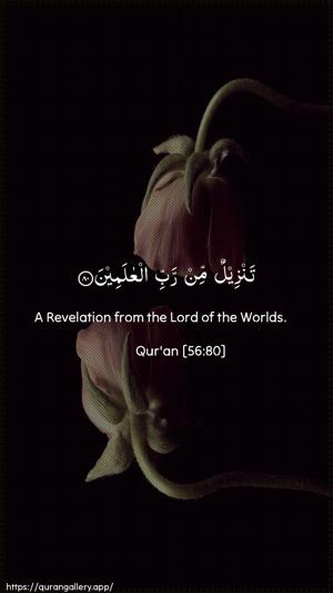Al-Waaqia Ayah 80 - Arabic + English wallpaper