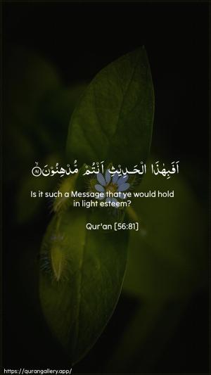 Al-Waaqia Ayah 81 - Arabic + English wallpaper