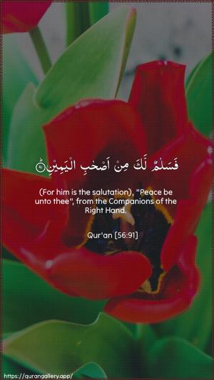 Al-Waaqia Ayah 91 - Arabic + English wallpaper
