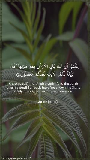 Al-Hadid Ayah 17 - Arabic + English wallpaper