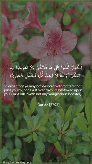 Al-Hadid Ayah 23 - Arabic + English wallpaper