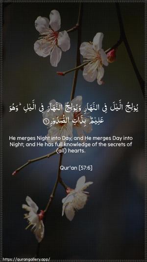 Al-Hadid Ayah 6 - Arabic + English wallpaper