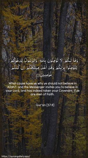 Al-Hadid Ayah 8 - Arabic + English wallpaper