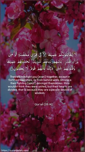 Al-Hashr Ayah 14 - Arabic + English wallpaper