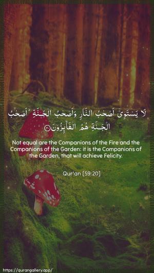 Al-Hashr Ayah 20 - Arabic + English wallpaper