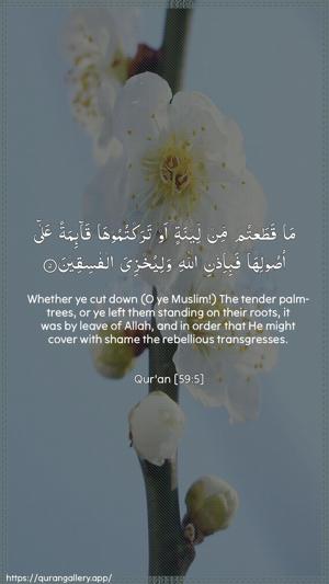Al-Hashr Ayah 5 - Arabic + English wallpaper