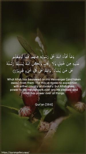 Al-Hashr Ayah 6 - Arabic + English wallpaper