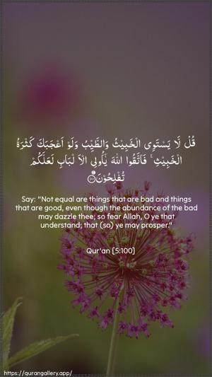 Al-Maaida Ayah 100 - Arabic + English wallpaper