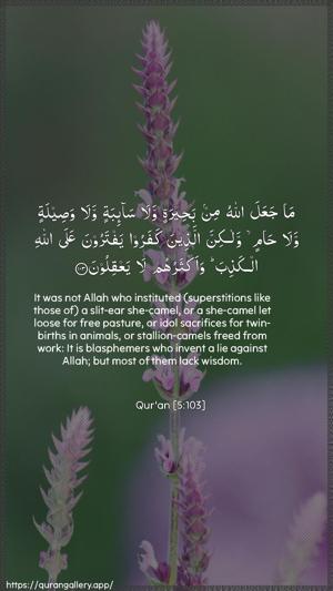 Al-Maaida Ayah 103 - Arabic + English wallpaper