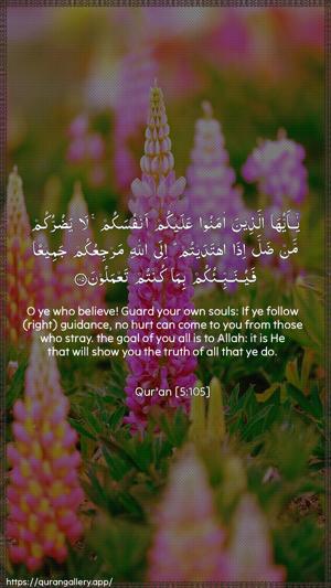 Al-Maaida Ayah 105 - Arabic + English wallpaper