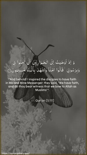 Al-Maaida Ayah 111 - Arabic + English wallpaper