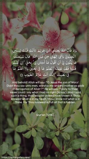 Al-Maaida Ayah 116 - Arabic + English wallpaper