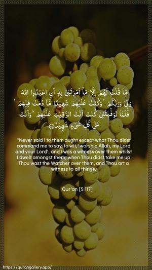 Al-Maaida Ayah 117 - Arabic + English wallpaper
