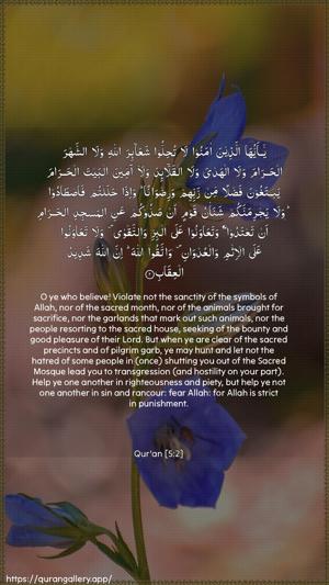 Al-Maaida Ayah 2 - Arabic + English wallpaper