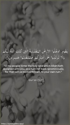Al-Maaida Ayah 21 - Arabic + English wallpaper