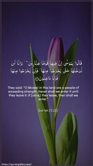 Al-Maaida Ayah 22 - Arabic + English wallpaper