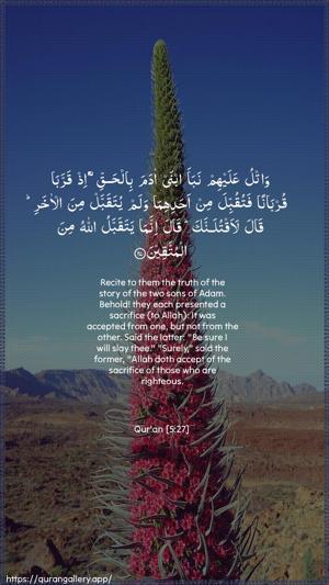 Al-Maaida Ayah 27 - Arabic + English wallpaper