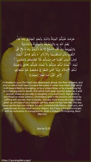 Al-Maaida Ayah 3 - Arabic + English wallpaper