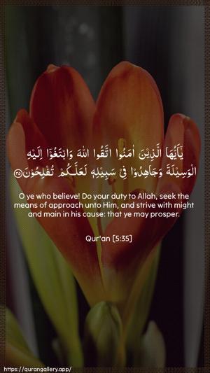 Al-Maaida Ayah 35 - Arabic + English wallpaper