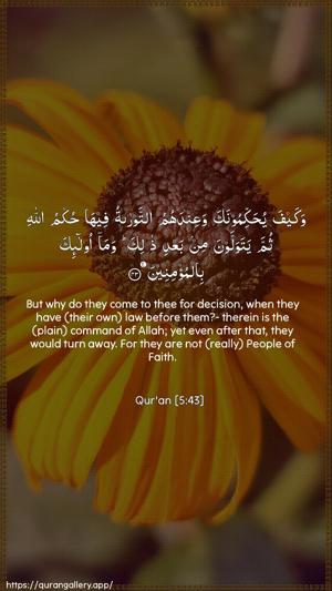 Al-Maaida Ayah 43 - Arabic + English wallpaper
