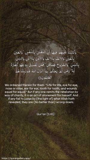 Al-Maaida Ayah 45 - Arabic + English wallpaper