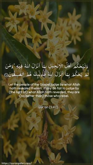 Al-Maaida Ayah 47 - Arabic + English wallpaper