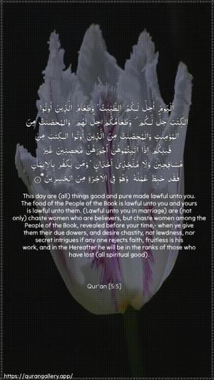 Al-Maaida Ayah 5 - Arabic + English wallpaper
